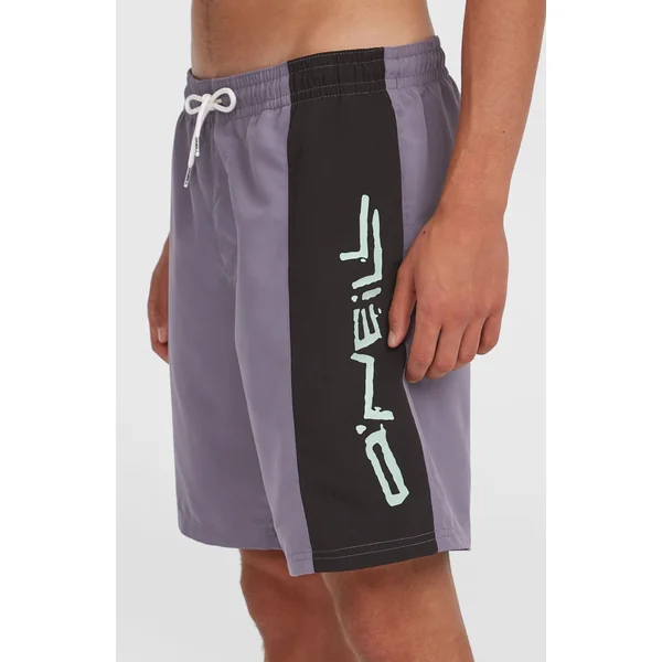 Short de bain Retro 19'' | Storm Colour Block
