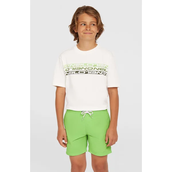 Short de bain Vert 14'' | Paradise Valley