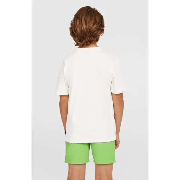 Short de bain Vert 14'' | Paradise Valley