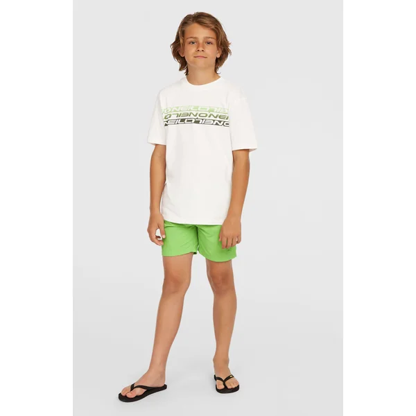 Short de bain Vert 14'' | Paradise Valley