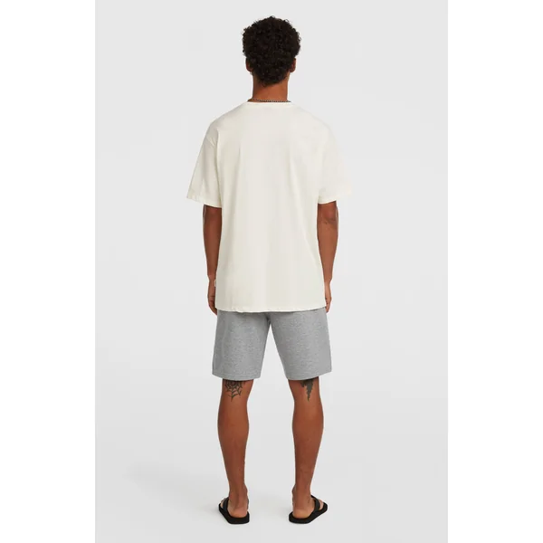 Short de survêtement O'Neill Small Logo | Silver Melee
