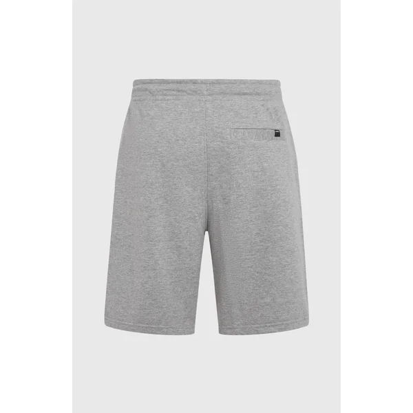 Short de survêtement O'Neill Small Logo | Silver Melee