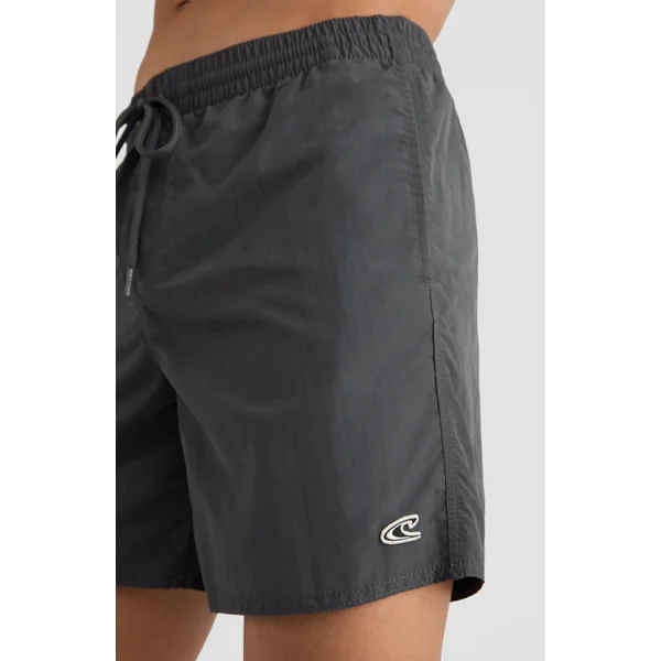 Short Vert Swim | Asphalt - A