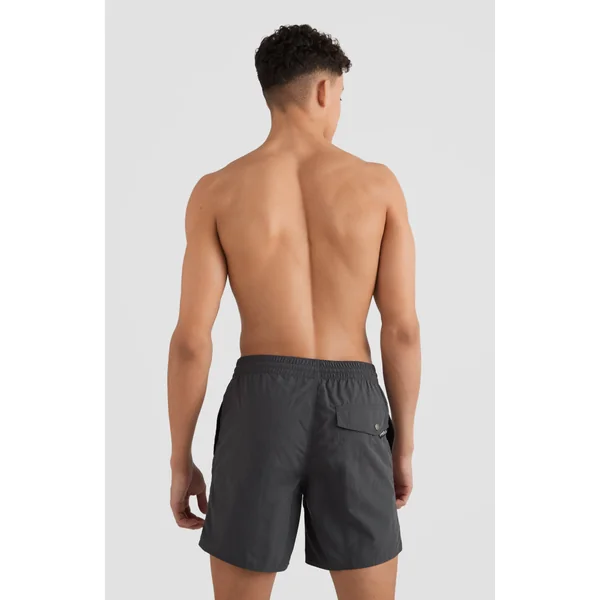 Short Vert Swim | Asphalt - A
