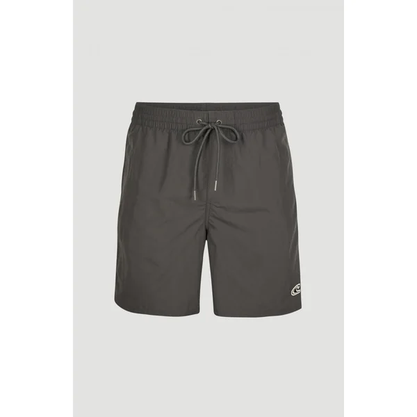 Short Vert Swim | Asphalt - A