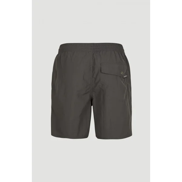 Short Vert Swim | Asphalt - A