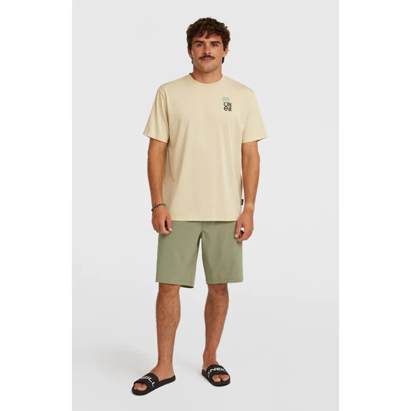 Shorts Hybrid 19 | Avery Fern