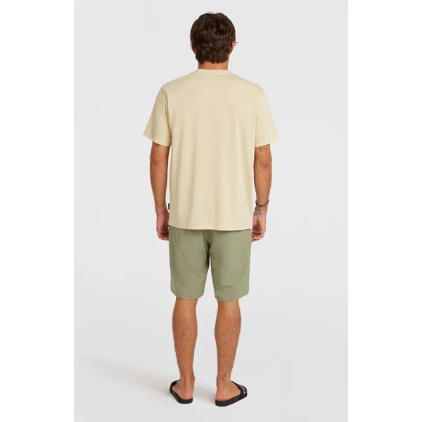 Shorts Hybrid 19 | Avery Fern