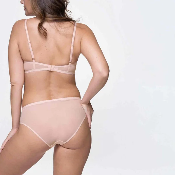 Shorty - Rose SHEA