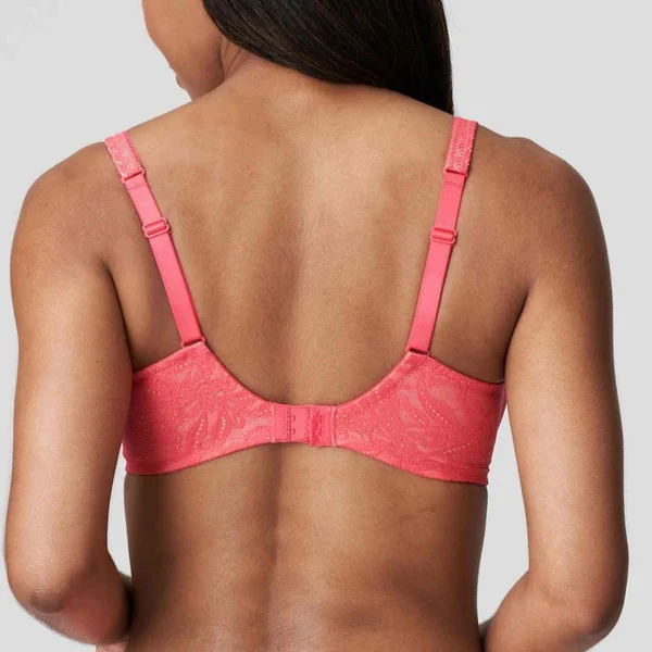 Soutien-gorge Plongeant Armatures