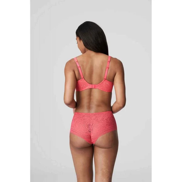 Soutien-gorge Plongeant Armatures