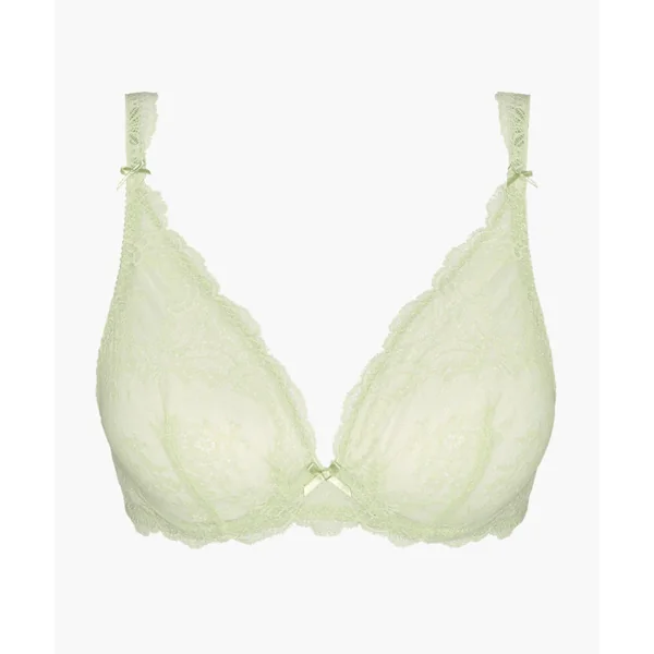 Soutien-gorge plongeant armatures