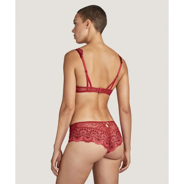 Soutien-gorge plongeant armatures