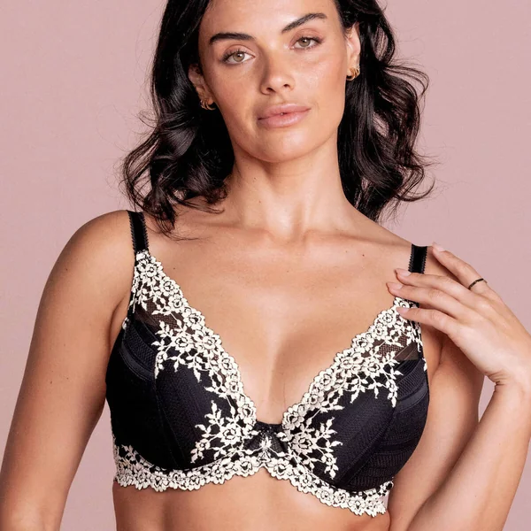 Soutien-gorge plunge armatures
