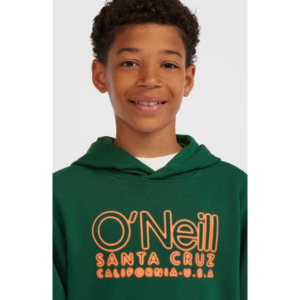 Sweat à capuche Essentials | Emerald Envy