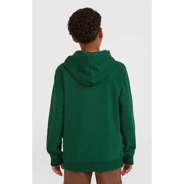 Sweat à capuche Essentials | Emerald Envy