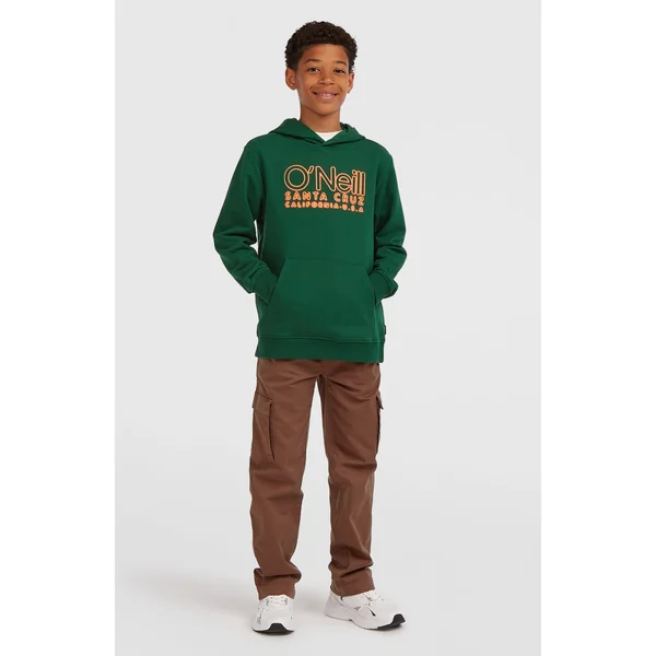 Sweat à capuche Essentials | Emerald Envy