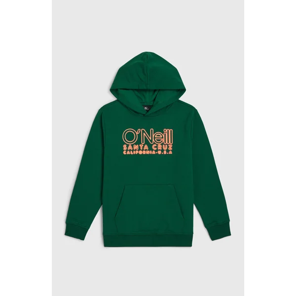 Sweat à capuche Essentials | Emerald Envy