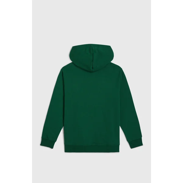 Sweat à capuche Essentials | Emerald Envy
