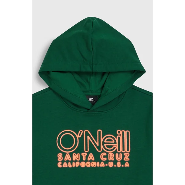 Sweat à capuche Essentials | Emerald Envy