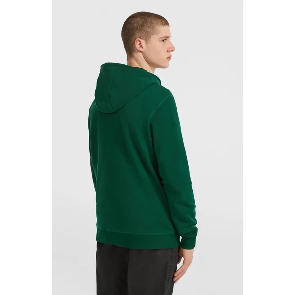Sweat à capuche et zip intégral Small Logo | Emerald Envy