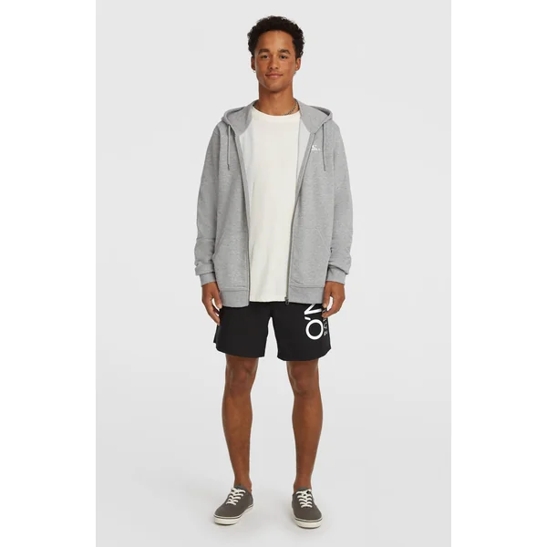 Sweat à capuche et zip intégral Small Logo | Silver Melee