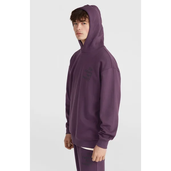 Sweat à capuche Future Surf Society | Aubergine