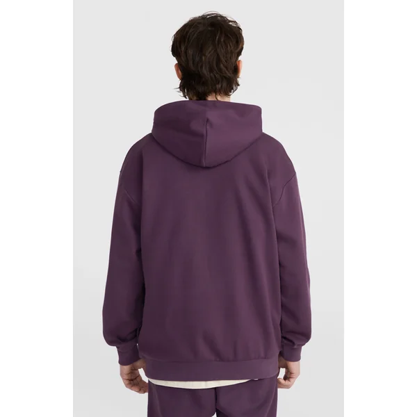 Sweat à capuche Future Surf Society | Aubergine