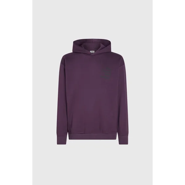 Sweat à capuche Future Surf Society | Aubergine