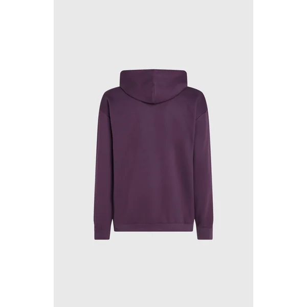 Sweat à capuche Future Surf Society | Aubergine