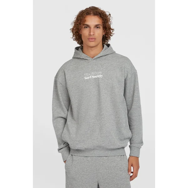 Sweat à capuche Future Surf Society | Silver Melee