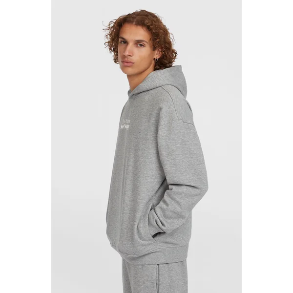 Sweat à capuche Future Surf Society | Silver Melee