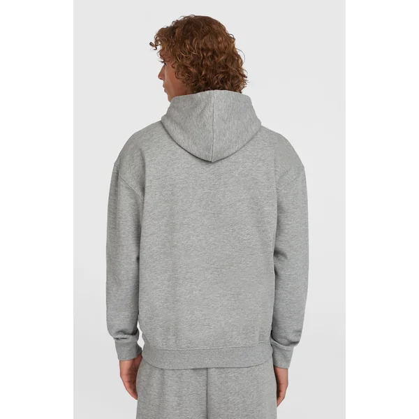 Sweat à capuche Future Surf Society | Silver Melee