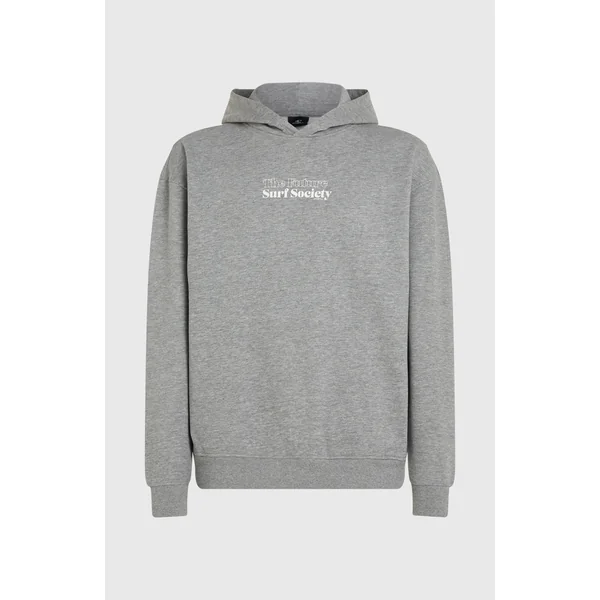 Sweat à capuche Future Surf Society | Silver Melee