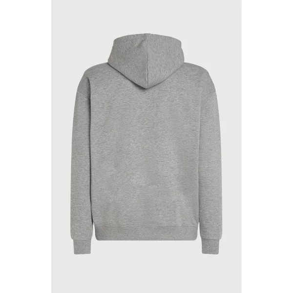 Sweat à capuche Future Surf Society | Silver Melee