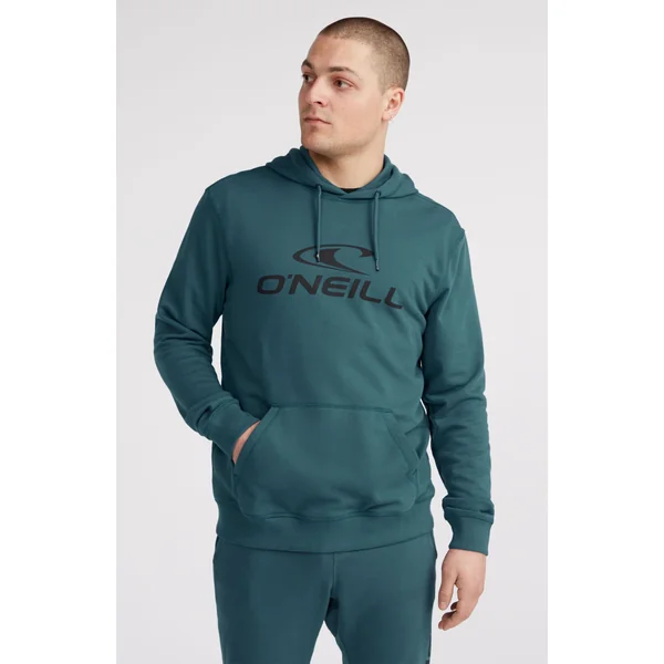 Sweat à capuche Logo | Alma Steel