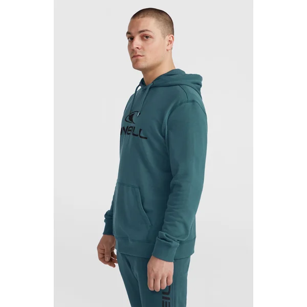 Sweat à capuche Logo | Alma Steel
