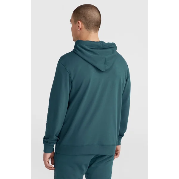 Sweat à capuche Logo | Alma Steel