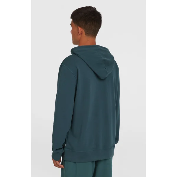 Sweat à capuche Logo | Alma Steel