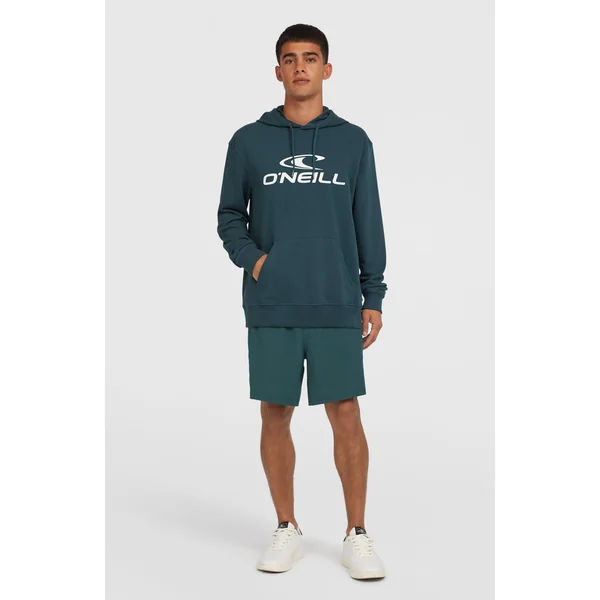 Sweat à capuche Logo | Alma Steel