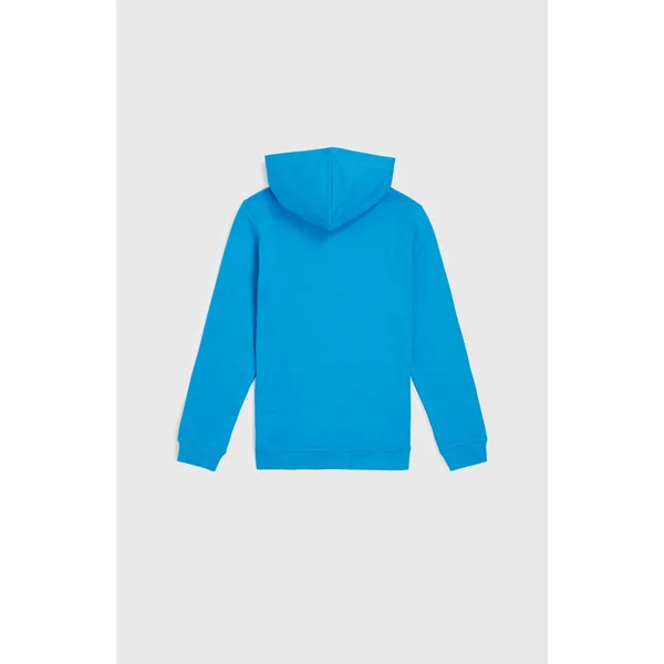 Sweat à capuche Logo | Athena