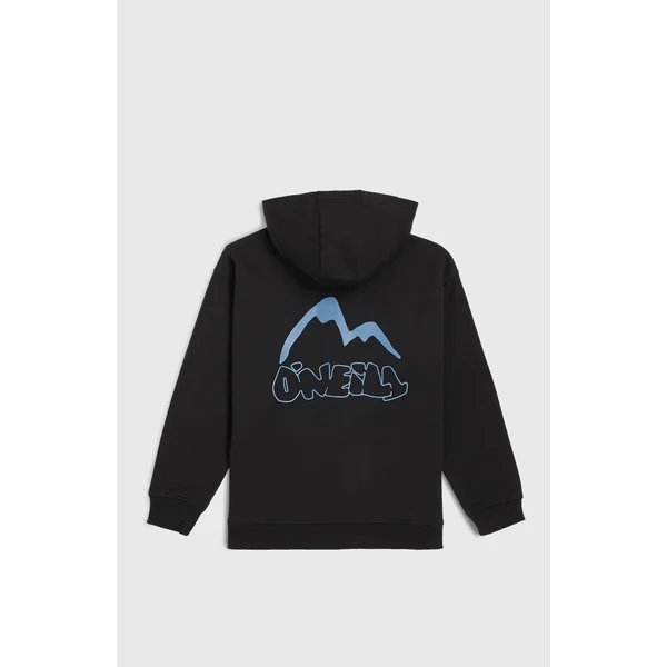 Sweat à capuche Must-Have à zip intégral | Black Out