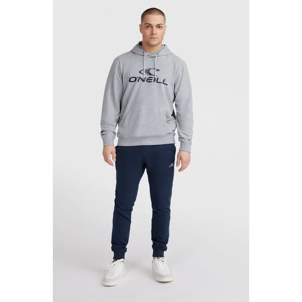 Sweat à capuche O'Neill Logo | Silver Melee