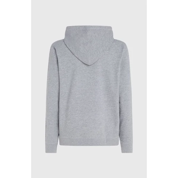 Sweat à capuche O'Neill Logo | Silver Melee