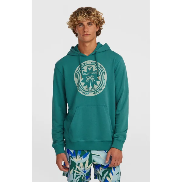 Sweat à capuche O'Neill Must-Have Graphic | Botanical Heat