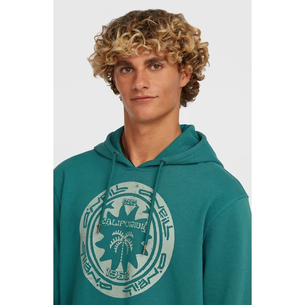 Sweat à capuche O'Neill Must-Have Graphic | Botanical Heat