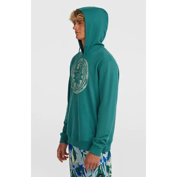 Sweat à capuche O'Neill Must-Have Graphic | Botanical Heat