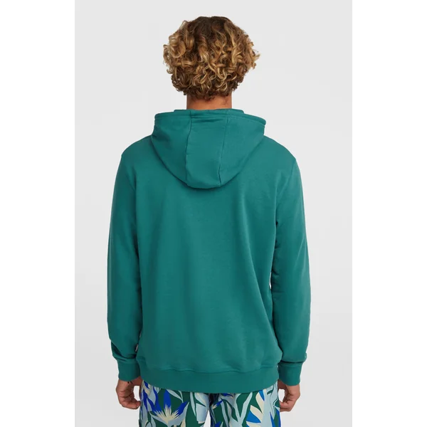 Sweat à capuche O'Neill Must-Have Graphic | Botanical Heat