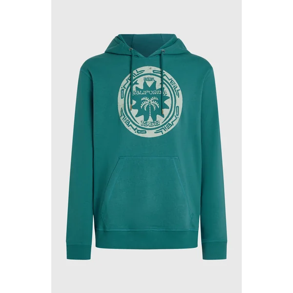 Sweat à capuche O'Neill Must-Have Graphic | Botanical Heat