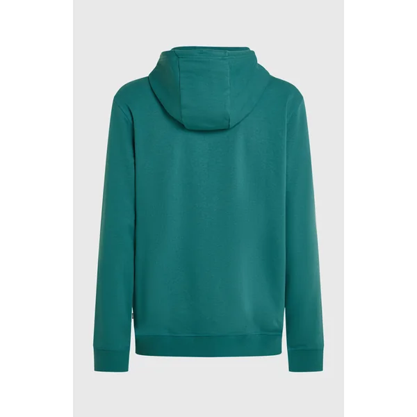 Sweat à capuche O'Neill Must-Have Graphic | Botanical Heat